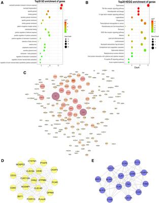 Development and Validation of Ischemic Events Related Signature After Carotid Endarterectomy